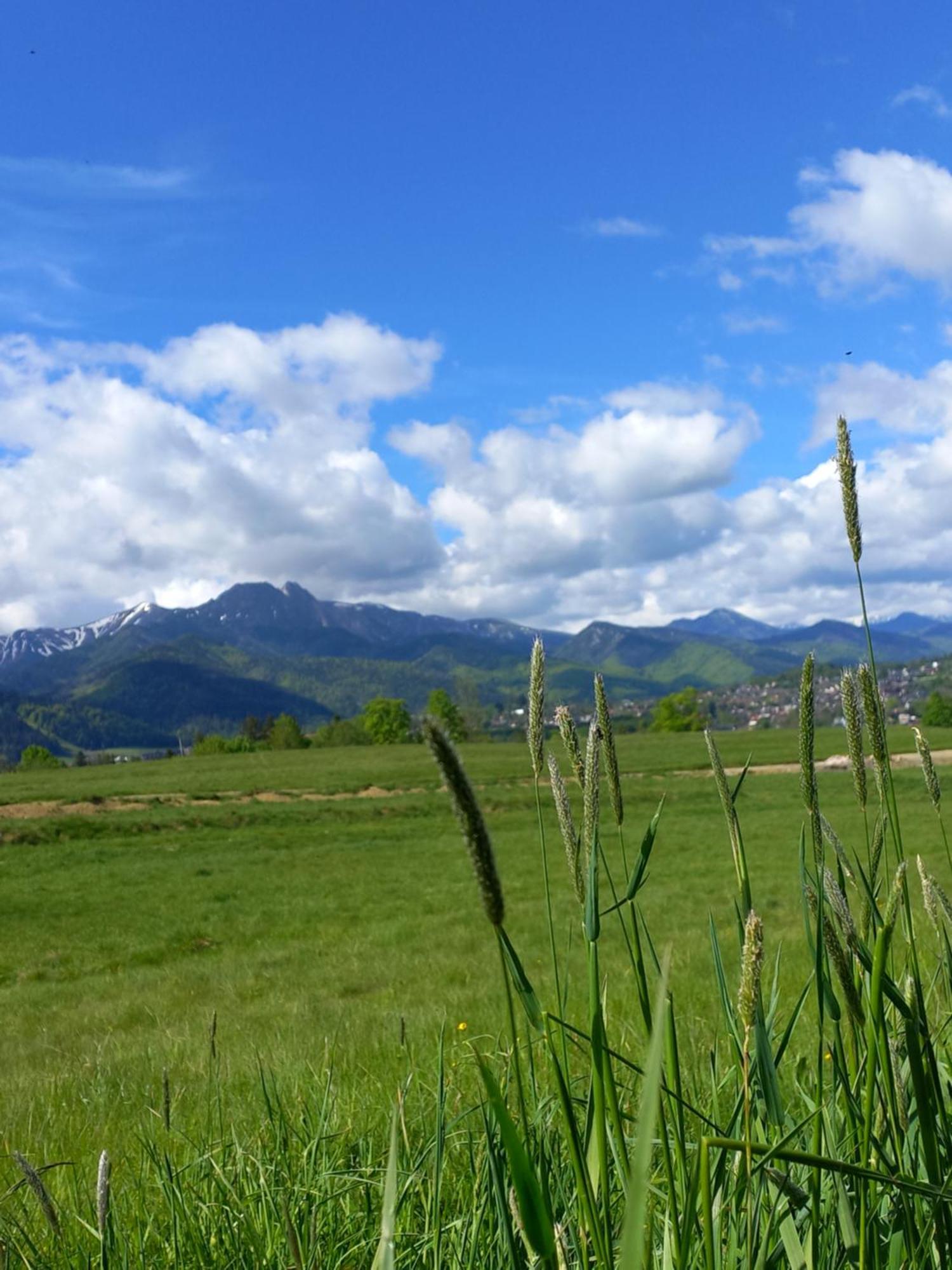 Domki Na Gawlakach Zakopane Chambre photo